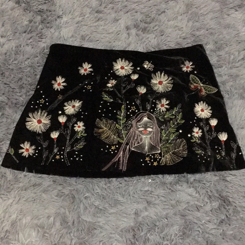 NWOT Zara Embroidered Skirt